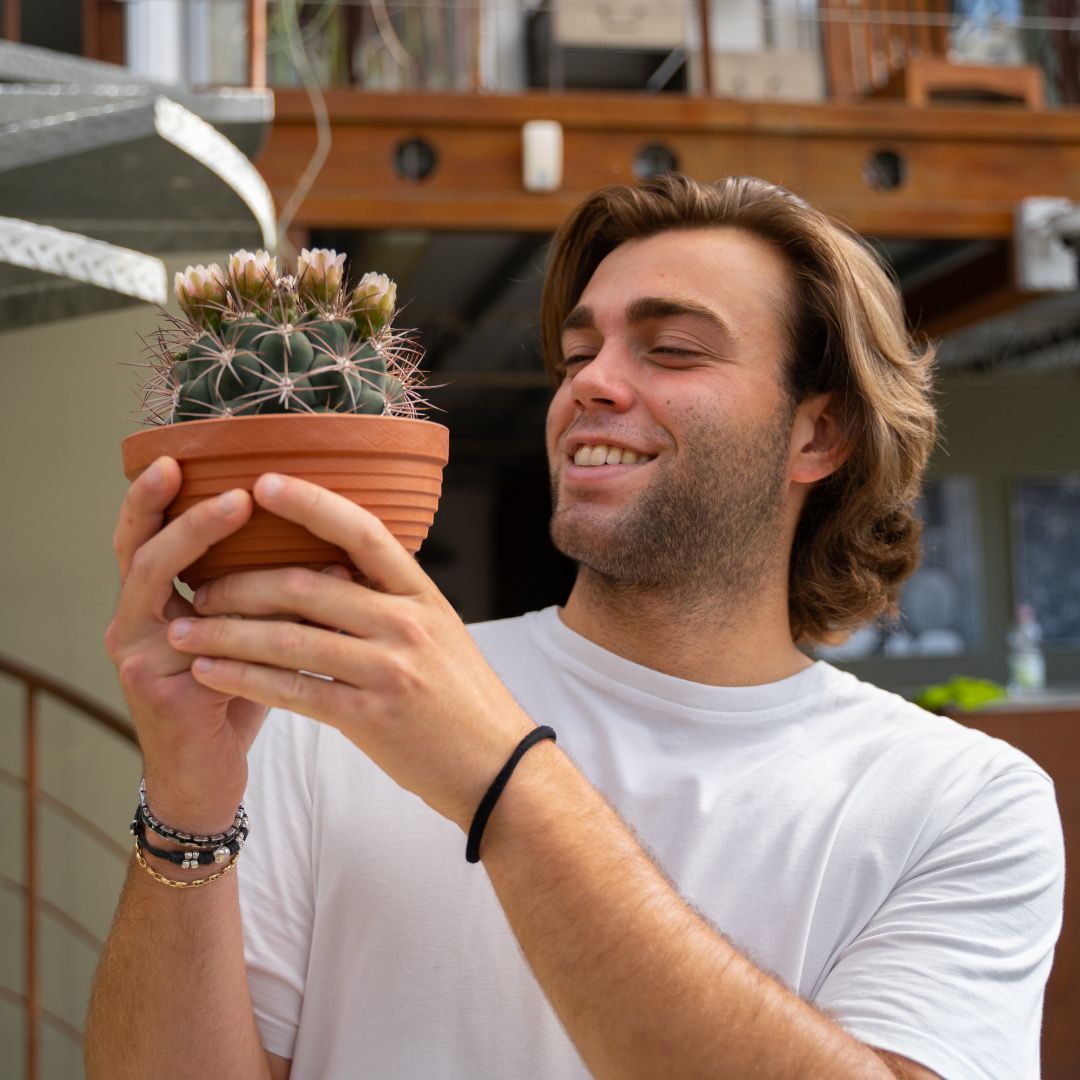 Gymnocalycium saglionis Ø 17 cm