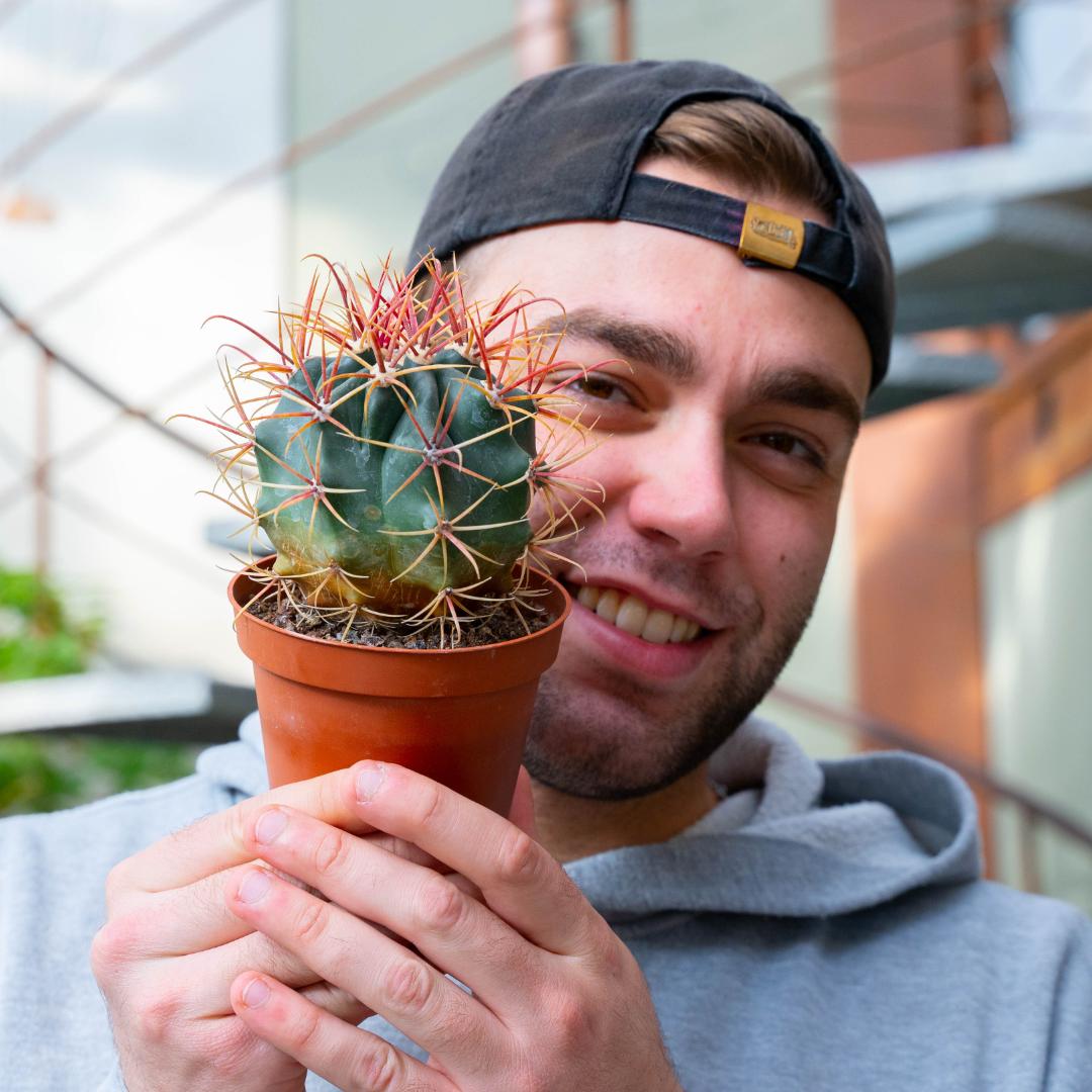 Ferocactus hybrid Ø 10,5 cm