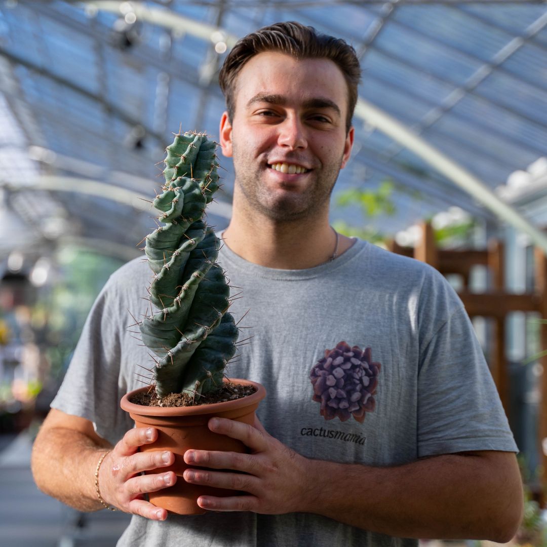 Cereus forbesii spiralis Ø 12 cm