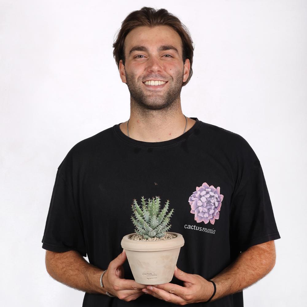 Aloe erinacea Ø 14