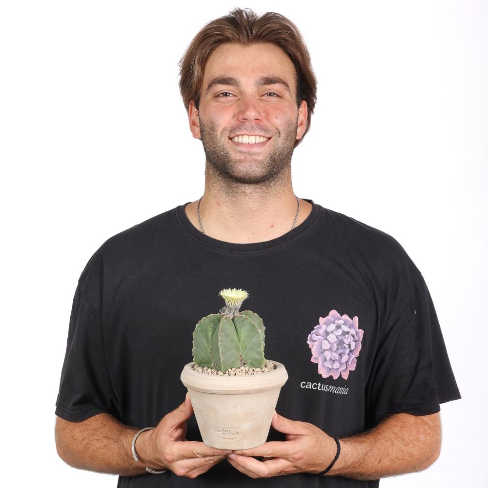 Astrophytum myriostigma nudum Ø 14