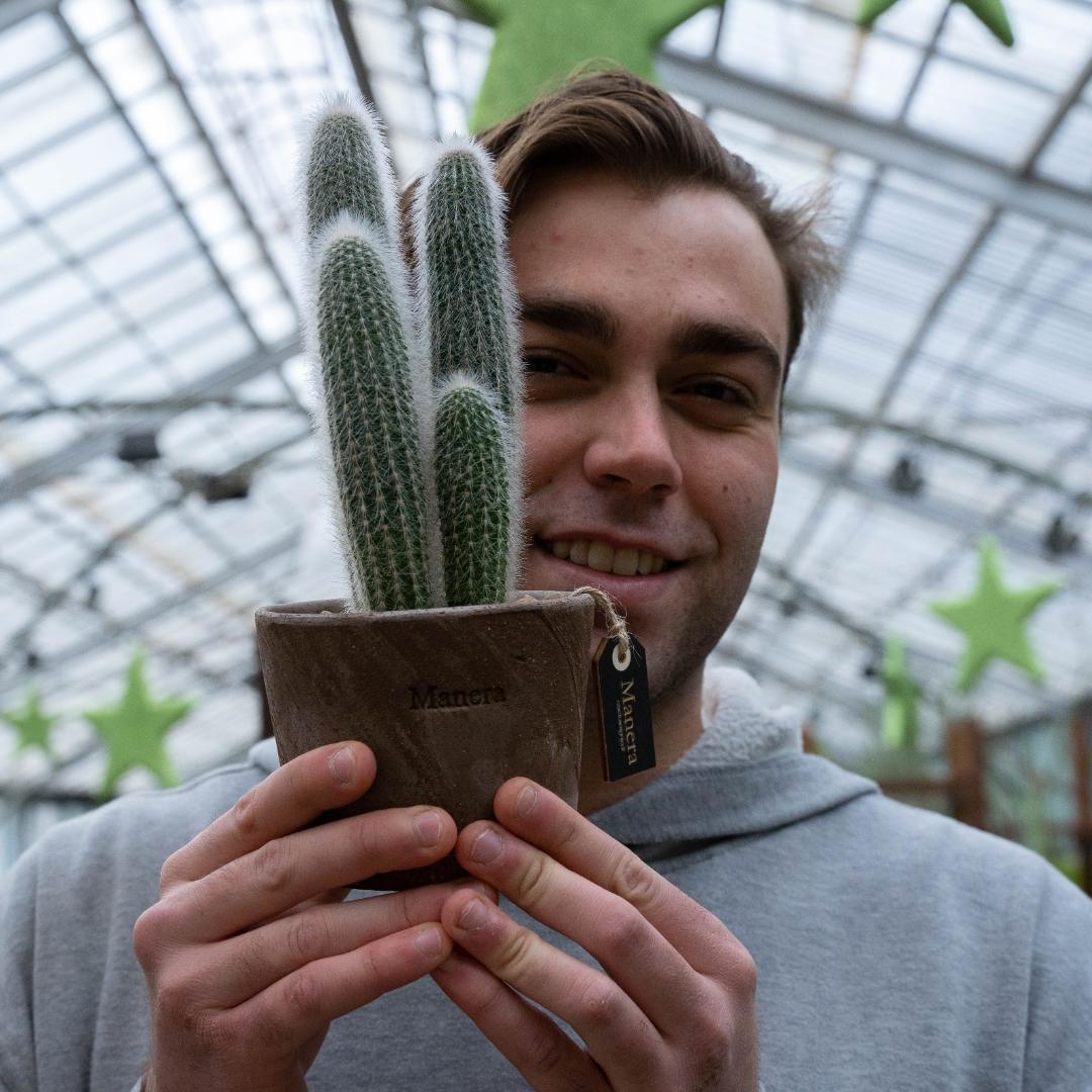Cleistocactus strausii - Linea Manera