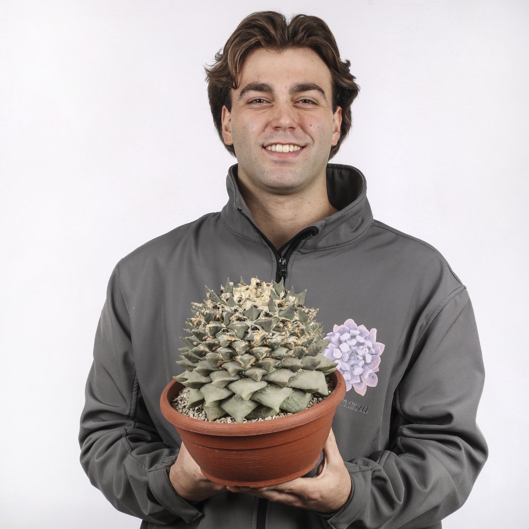 Ariocarpus retusus Ø 25 cm