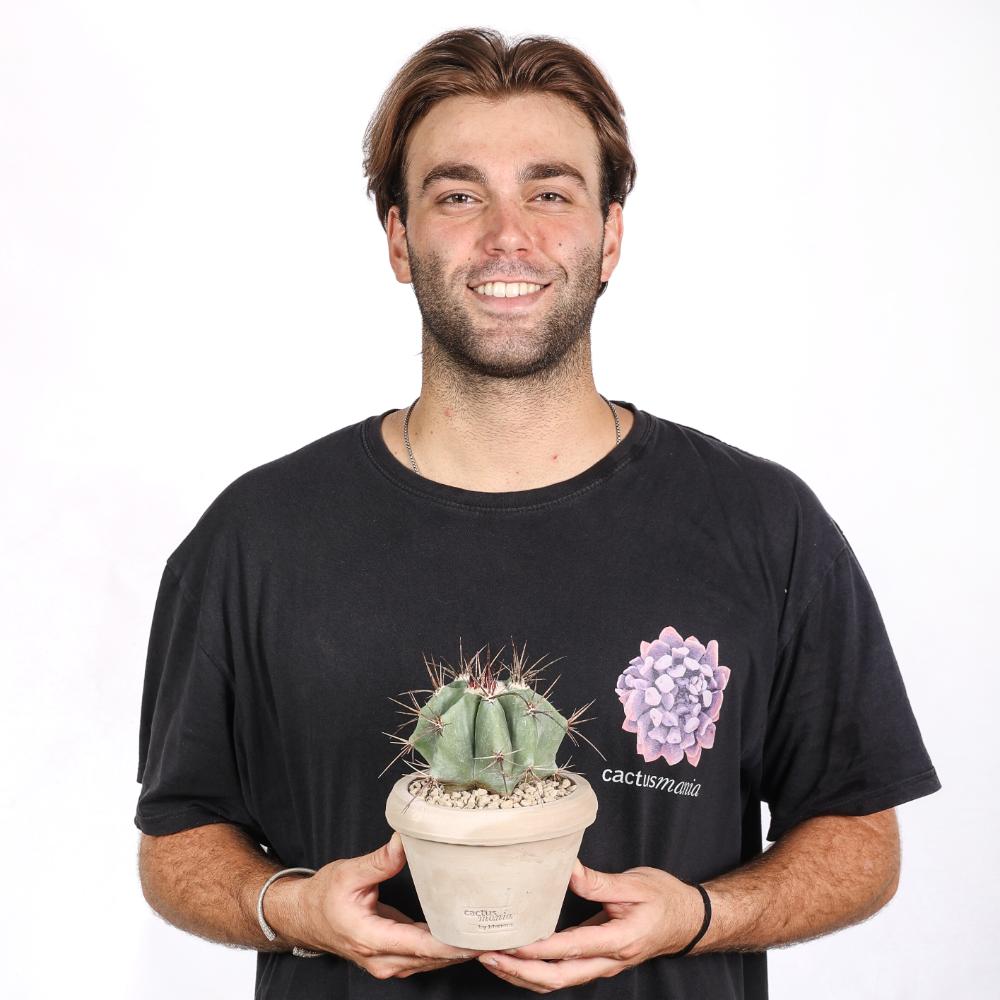 Echinocactus ingens Ø14 - immagine 5