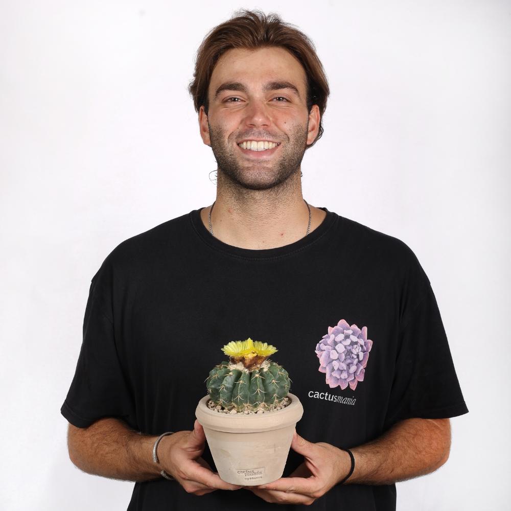 Notocactus erynaceus Ø14 - immagine 6