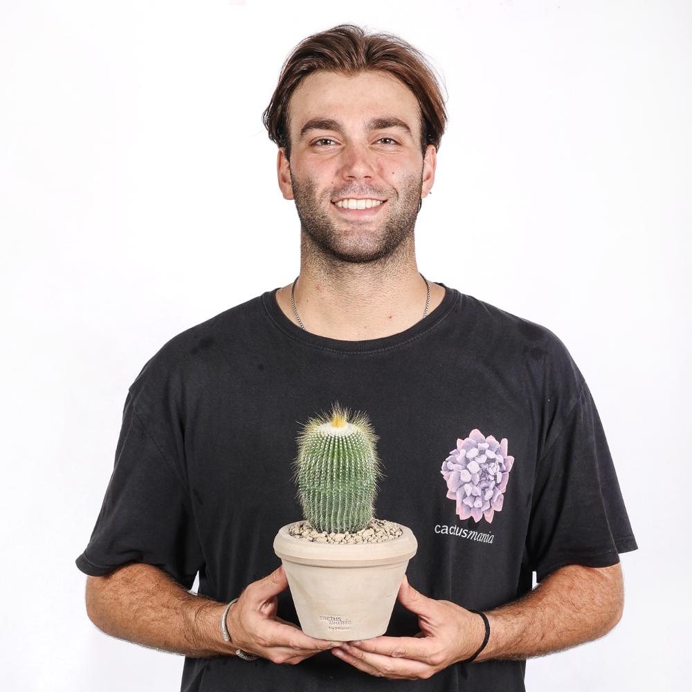 Notocactus leninghausii inermis Ø14 - immagine 4