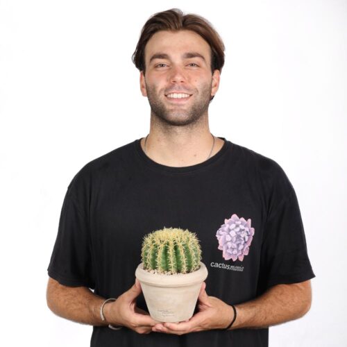 Echinocactus grusonii Ø 14
