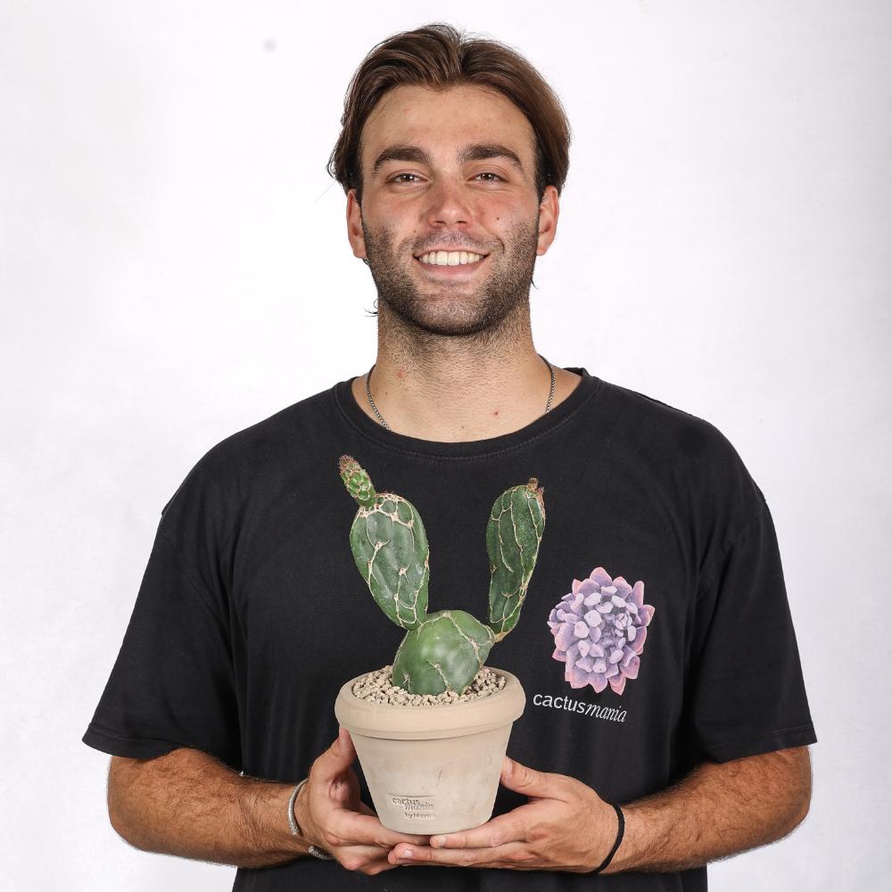 Opuntia zebrina reticulata Ø 14 - immagine 5